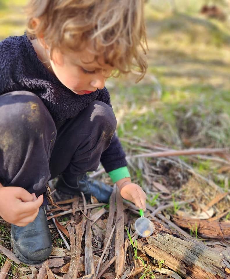 Australian bush outdoor play